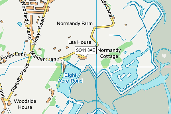 SO41 8AE map - OS VectorMap District (Ordnance Survey)
