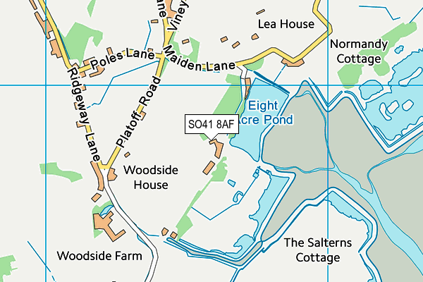 SO41 8AF map - OS VectorMap District (Ordnance Survey)