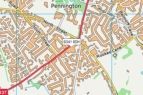 SO41 8DH map - OS VectorMap District (Ordnance Survey)