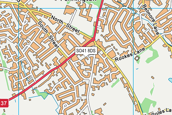 SO41 8DS map - OS VectorMap District (Ordnance Survey)