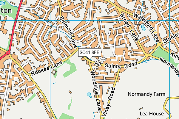 SO41 8FE map - OS VectorMap District (Ordnance Survey)