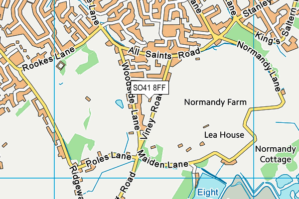 SO41 8FF map - OS VectorMap District (Ordnance Survey)