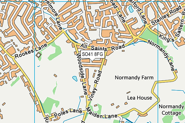 SO41 8FG map - OS VectorMap District (Ordnance Survey)