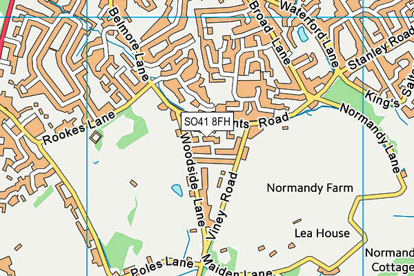 SO41 8FH map - OS VectorMap District (Ordnance Survey)
