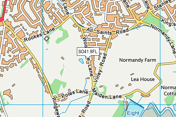 SO41 8FL map - OS VectorMap District (Ordnance Survey)
