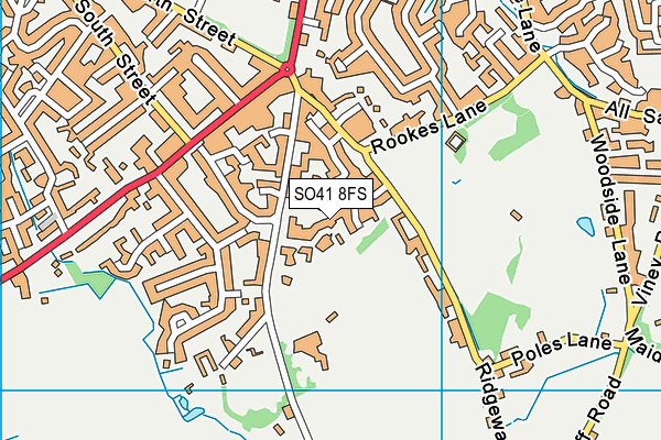 SO41 8FS map - OS VectorMap District (Ordnance Survey)