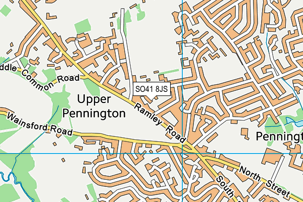 SO41 8JS map - OS VectorMap District (Ordnance Survey)