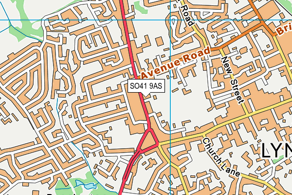 SO41 9AS map - OS VectorMap District (Ordnance Survey)