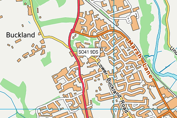 SO41 9DS map - OS VectorMap District (Ordnance Survey)