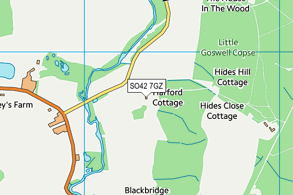 SO42 7GZ map - OS VectorMap District (Ordnance Survey)