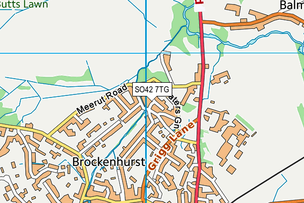 SO42 7TG map - OS VectorMap District (Ordnance Survey)