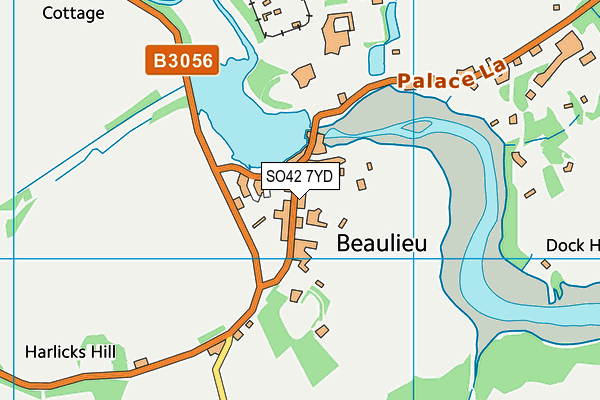 Beaulieu Village Primary School map (SO42 7YD) - OS VectorMap District (Ordnance Survey)