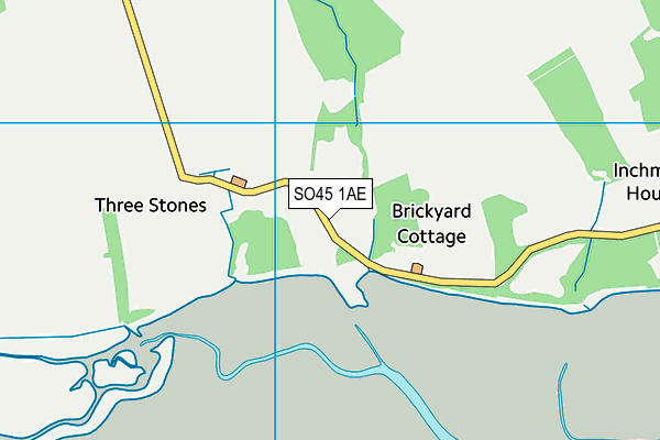 SO45 1AE map - OS VectorMap District (Ordnance Survey)