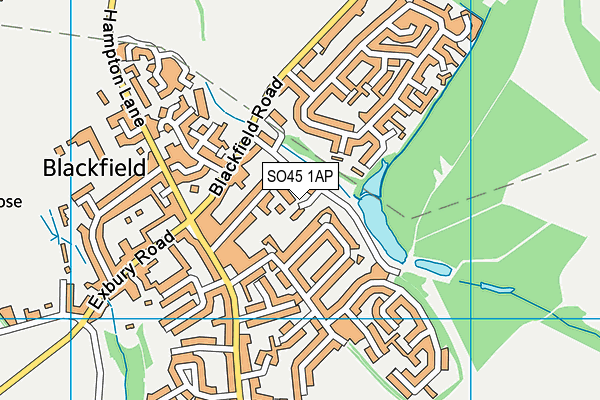 SO45 1AP map - OS VectorMap District (Ordnance Survey)