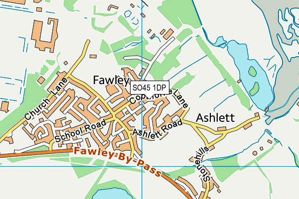 SO45 1DP map - OS VectorMap District (Ordnance Survey)