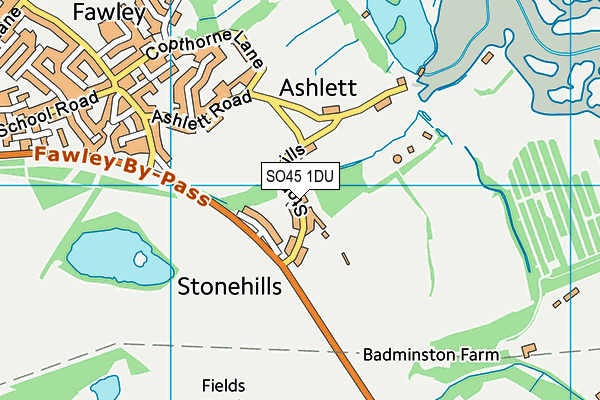 SO45 1DU map - OS VectorMap District (Ordnance Survey)