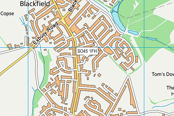 SO45 1FH map - OS VectorMap District (Ordnance Survey)