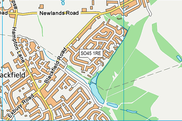 SO45 1RE map - OS VectorMap District (Ordnance Survey)