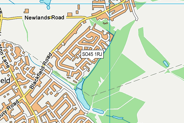 SO45 1RJ map - OS VectorMap District (Ordnance Survey)