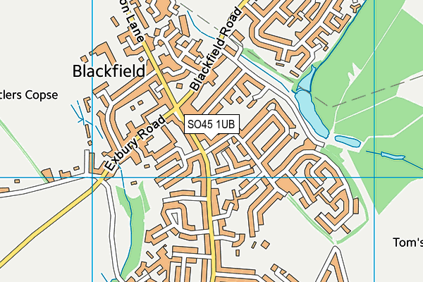 SO45 1UB map - OS VectorMap District (Ordnance Survey)