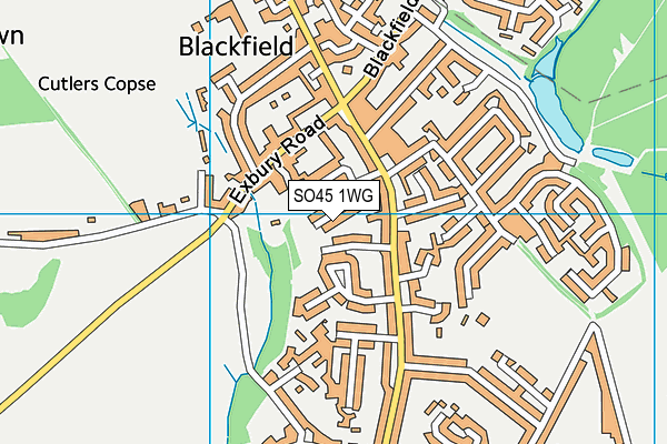 SO45 1WG map - OS VectorMap District (Ordnance Survey)