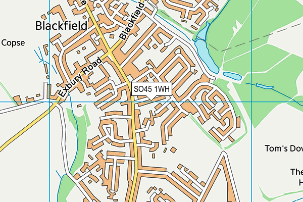 SO45 1WH map - OS VectorMap District (Ordnance Survey)
