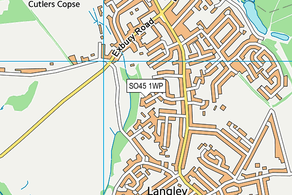 SO45 1WP map - OS VectorMap District (Ordnance Survey)