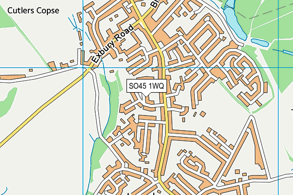 SO45 1WQ map - OS VectorMap District (Ordnance Survey)