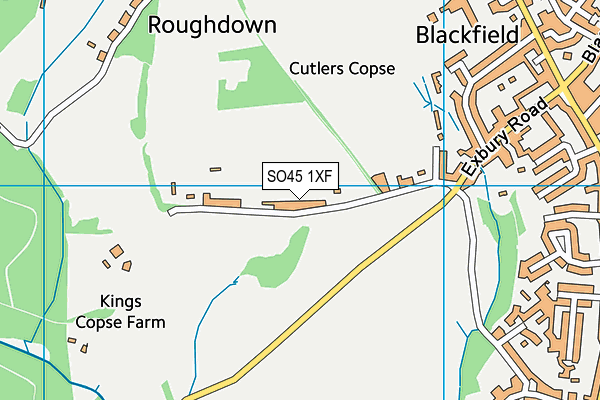 SO45 1XF map - OS VectorMap District (Ordnance Survey)