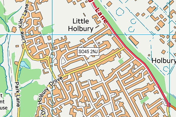 SO45 2NJ map - OS VectorMap District (Ordnance Survey)