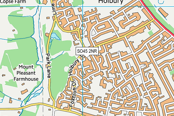 SO45 2NR map - OS VectorMap District (Ordnance Survey)