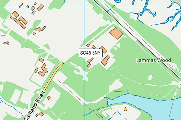 SO45 3NY map - OS VectorMap District (Ordnance Survey)