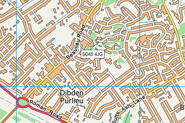 SO45 4JG map - OS VectorMap District (Ordnance Survey)