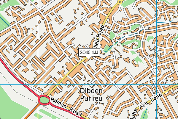 SO45 4JJ map - OS VectorMap District (Ordnance Survey)