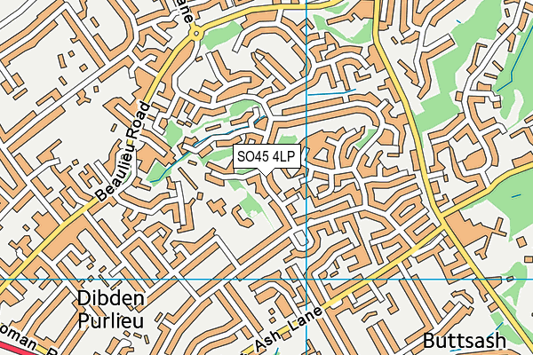 SO45 4LP map - OS VectorMap District (Ordnance Survey)