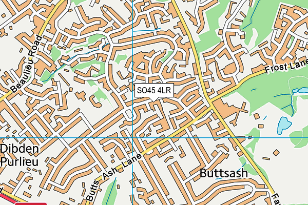 SO45 4LR map - OS VectorMap District (Ordnance Survey)