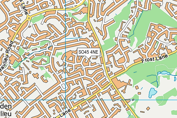 SO45 4NE map - OS VectorMap District (Ordnance Survey)