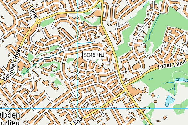 SO45 4NJ map - OS VectorMap District (Ordnance Survey)