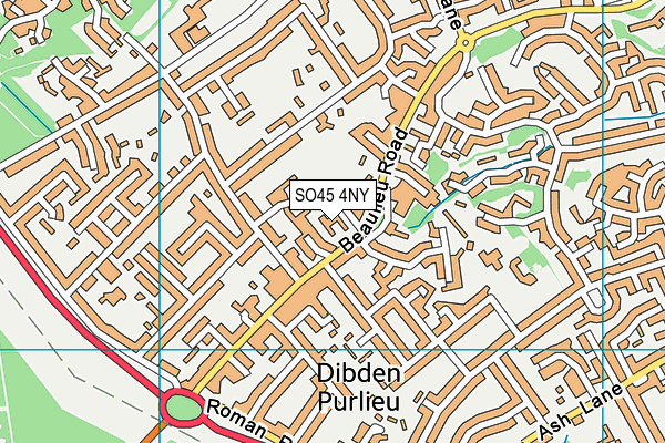 SO45 4NY map - OS VectorMap District (Ordnance Survey)