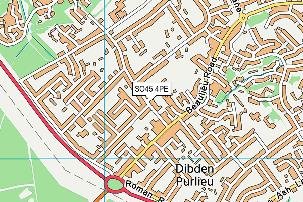 SO45 4PE map - OS VectorMap District (Ordnance Survey)