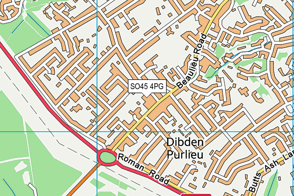 SO45 4PG map - OS VectorMap District (Ordnance Survey)