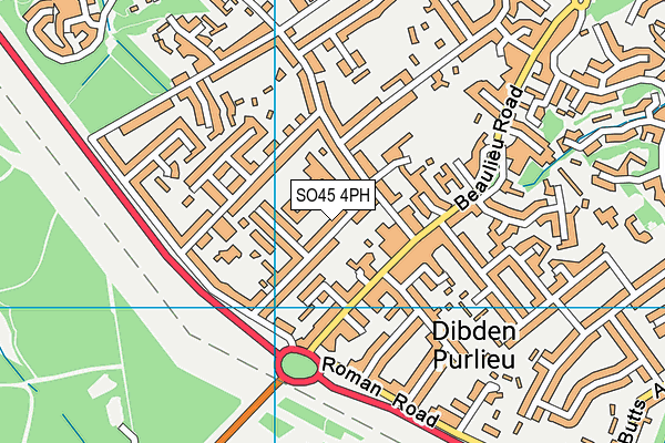 SO45 4PH map - OS VectorMap District (Ordnance Survey)