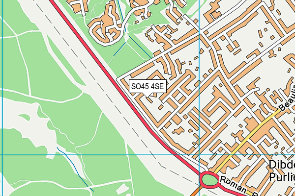 SO45 4SE map - OS VectorMap District (Ordnance Survey)