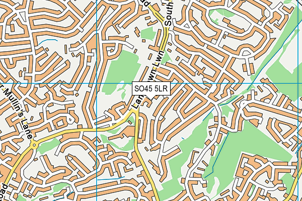 SO45 5LR map - OS VectorMap District (Ordnance Survey)