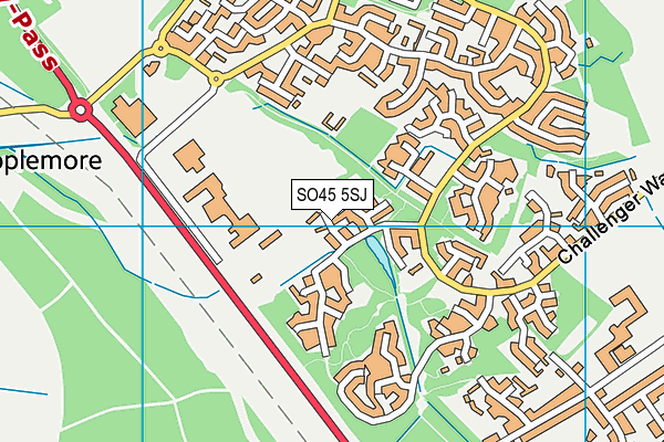 SO45 5SJ map - OS VectorMap District (Ordnance Survey)