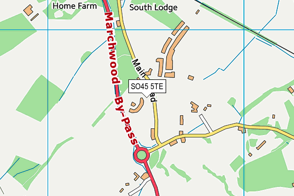 SO45 5TE map - OS VectorMap District (Ordnance Survey)