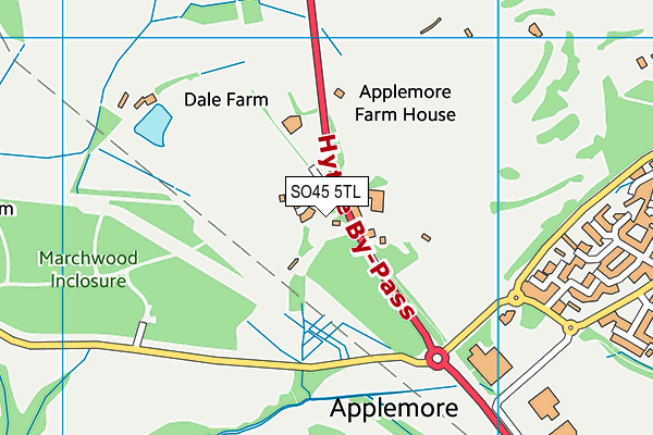 SO45 5TL map - OS VectorMap District (Ordnance Survey)