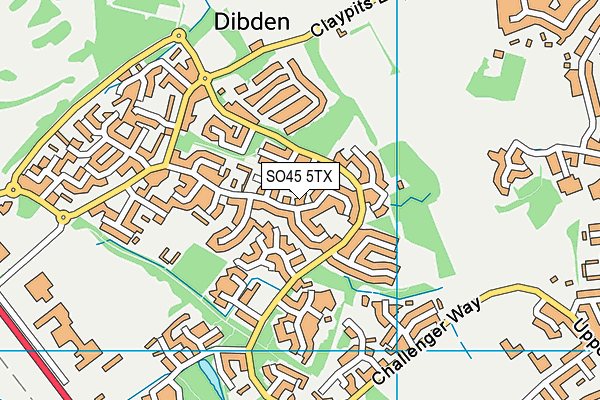 SO45 5TX map - OS VectorMap District (Ordnance Survey)