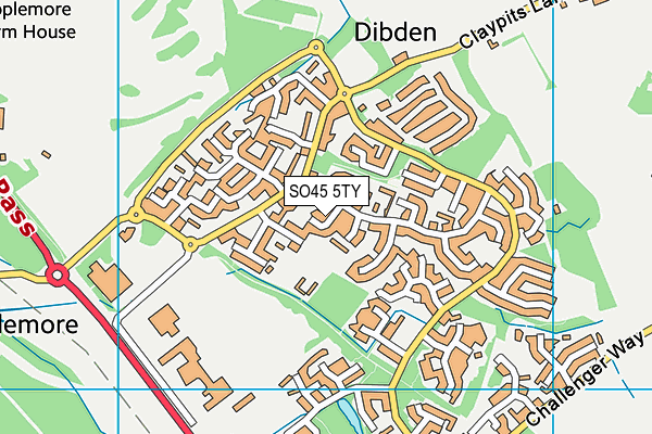 SO45 5TY map - OS VectorMap District (Ordnance Survey)