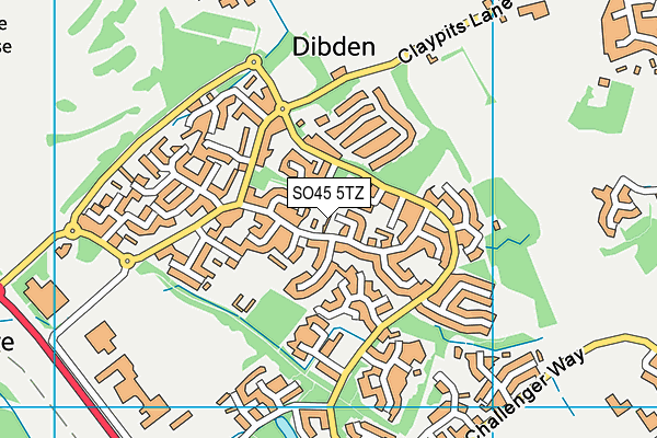 SO45 5TZ map - OS VectorMap District (Ordnance Survey)